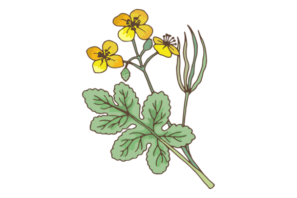 A Botanical Design for Real Embroidery Projects