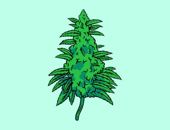 Medical Cannabis Leaf: A Designer's Practical Review
